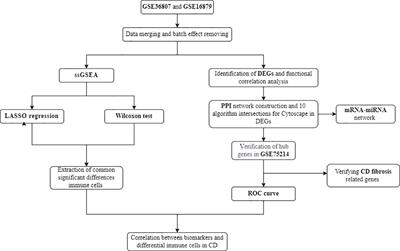 Identifying immune cell infiltration and effective diagnostic biomarkers in Crohn’s disease by bioinformatics analysis